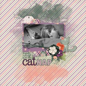 catnap