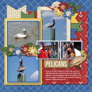 Pelicans