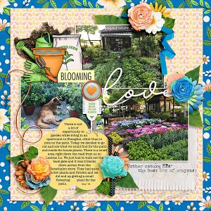 Blooming Love