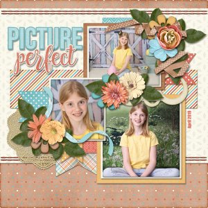 Picture Perfect