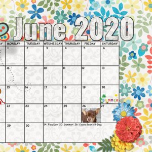 June Sum-Up Calendar