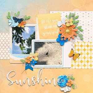 sunshinein-copy