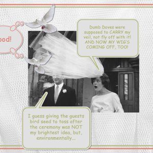 Weddings are for the Birds