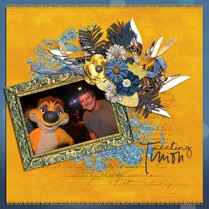 Meeting Timon