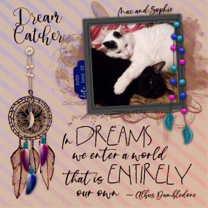 Dream Catcher