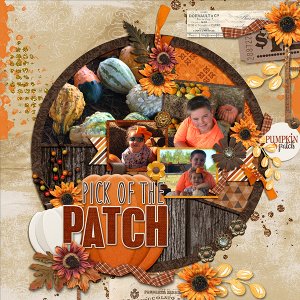 Pick of the Patch