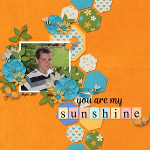 You are my Sunshine