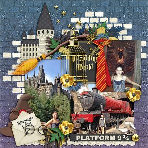 Wizarding World