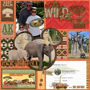 Kilimanjaro Safari