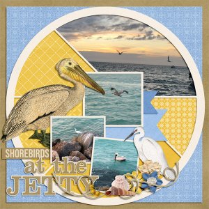 Shorebirds At The Jetty