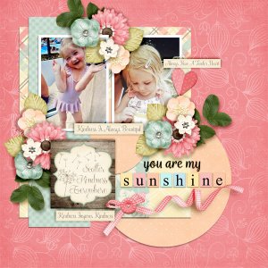 You-are-my-sunshine16