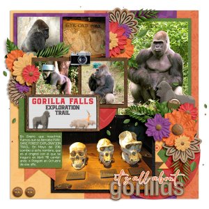 gorillas