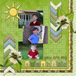 you are my sunshine