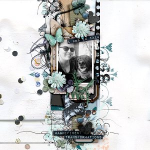 Magnificent Transformations
