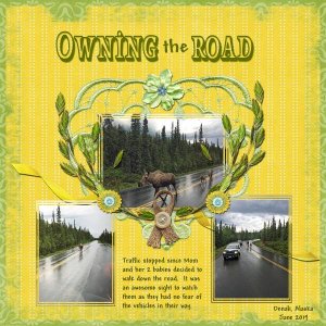 Owning The Road