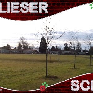 Lieser Time Capsule Cover Page