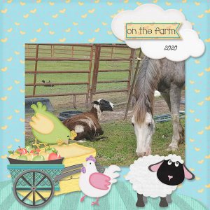 On The Farm