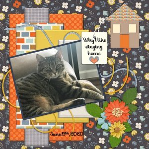 June 2020 Daily Download Challenge