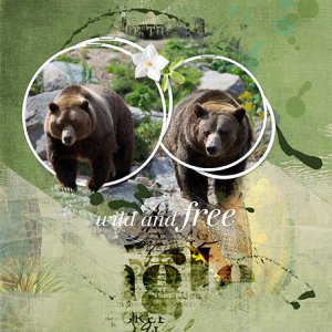 wild and free