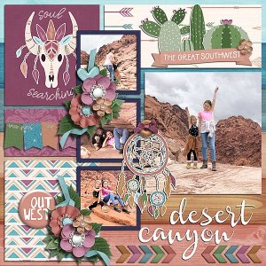 Desert canyon