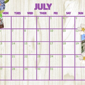 July 2020 Desktop Challenge