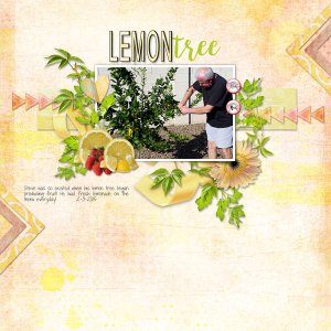 Lemon Tree