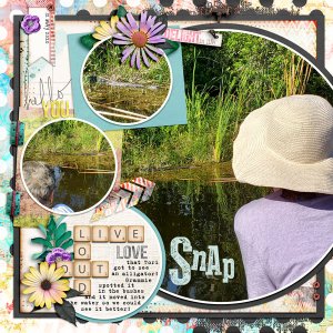 seeing an alligator