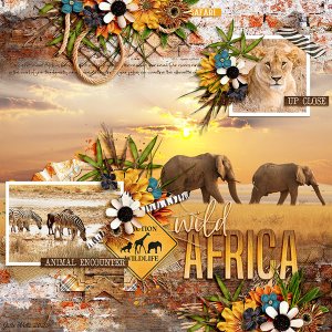 wild Africa