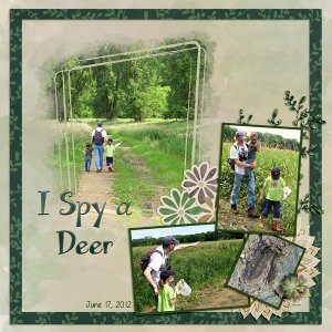 I spy a deer