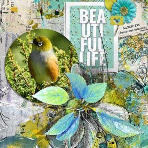 BEAUTIFUL LIFE