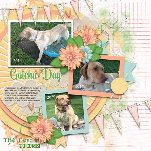 Gotcha Day