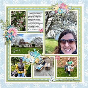 Week 20 of 2020:  May 10-16
