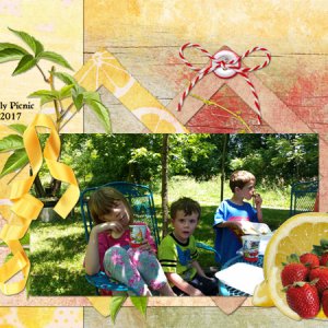 picnic