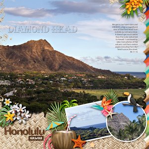 [view]Diamond Head