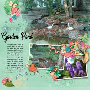 garden pond