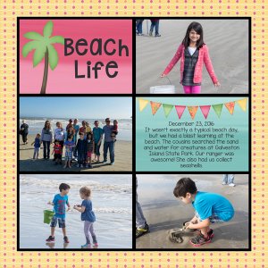 Beach Life