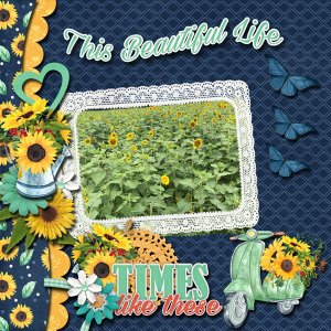 This Beautiful Life