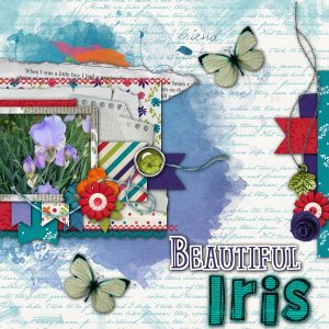 Beautiful Iris