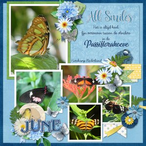 Vlindertuin Passiflorahoeve