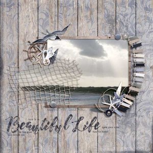 Beautiful Life