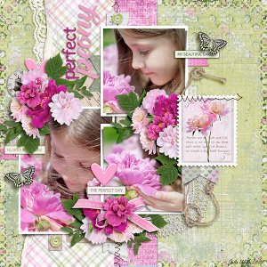 perfect peony