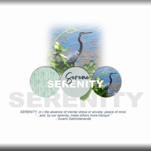 ATC 2020-092 Serenity