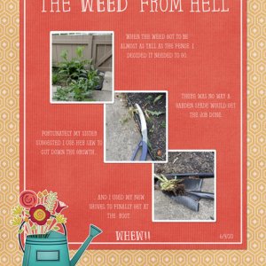 The Weed From Hell