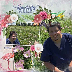 GSTempCh1-620-SethPoppies5420