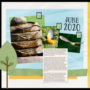 Project 365/52 Week3-2020-06-14