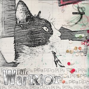 Little Warrior