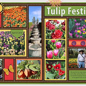 Tulip Festival