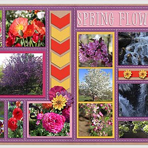 Spring Flowers