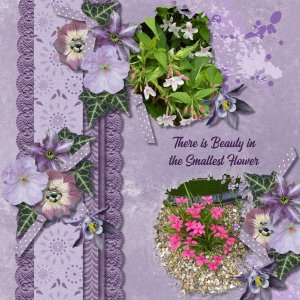 There is Beauty in the Smallest Flower.