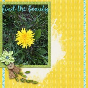 find the beauty